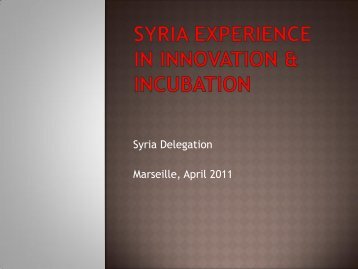Syria experience in Innovation & Incubation - CMI