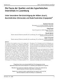 Die Fauna der Quellen und des hyporheischen Interstitials in ...