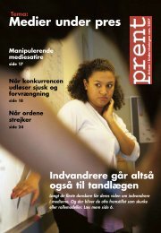 Medier under pres, november 2007.pdf