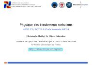 Physique des écoulements turbulents - Centre Acoustique du LMFA ...