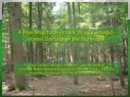 White Pine Decline in Maine - The University of Maine - School of ...