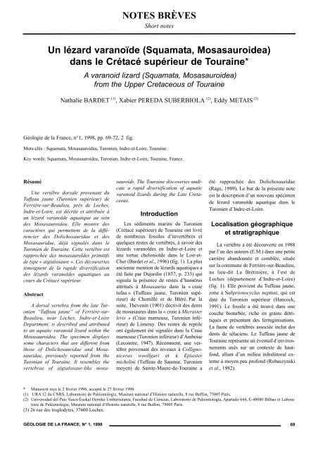 dans le Crétacé supérieur de Touraine - Géologie de la France