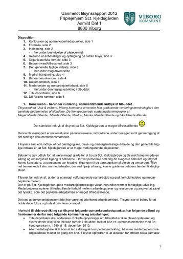 Uanmeldt Kommunalt tilsyn 2012 - Viborg Kommune