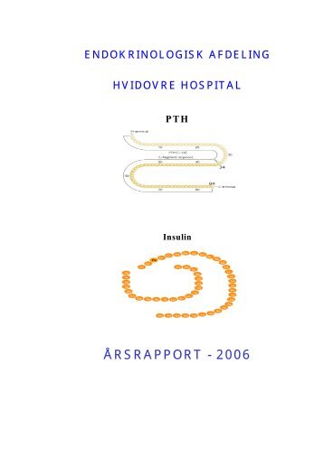 Årsrapport 2006 - Hvidovre Hospital