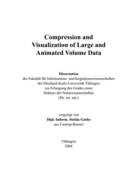 Compression and Visualization of Large and Animated Volume Data