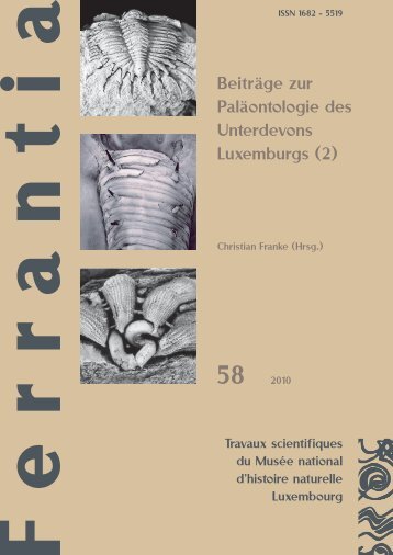 Beiträge zur Paläontologie des Unterdevons Luxemburgs (2)