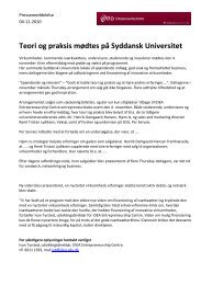 Teori og praksis mødtes på SDU, 041110 - Idea