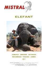 ELEFANT