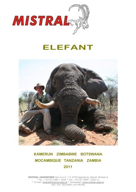 ELEFANT