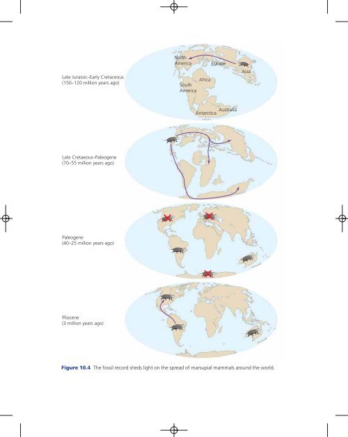 Reprinted from The Tangled Bank: An Introduction to Evolution by ...