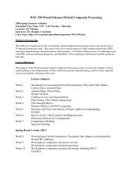 WSC 550 Wood-Polymer Hybrid Composite Processing