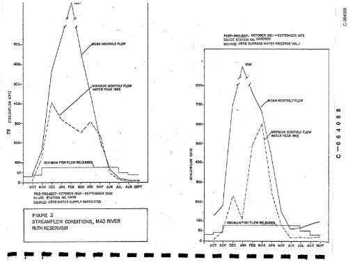 CASE STUDY REPORT #6 RUTH DAM MAD RIVER I. IntroduCtiOn ...