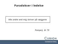 Ledere der lykkes - Cubion
