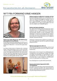 NYT FRA FORMAND VINIE HANSEN - va 4 syd