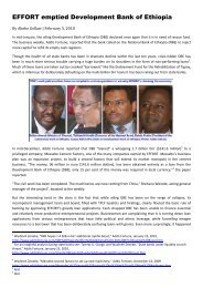 EFFORT plundering Ethiopia.pdf - Ethiopia: A voice for the voiceless