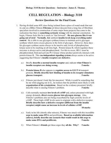 Final Exam Review Questions, Fall 2004 - Class Index