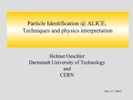 Particle Identification @ ALICE - IRTG Heidelberg
