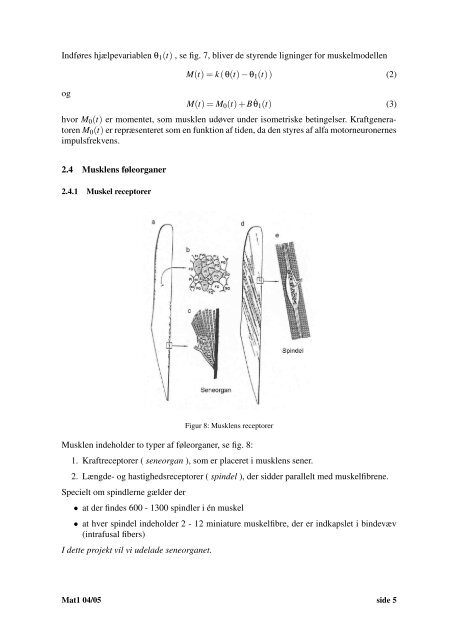 Simulering af musklers strækrefleks 1 Introduktion