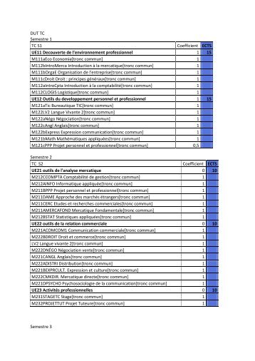 Télécharger le programme DUT TC (.pdf)