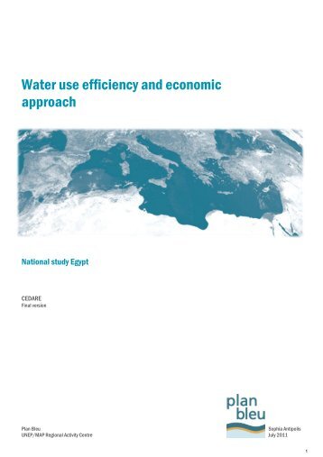 Water use efficiency and economic approach - CMI