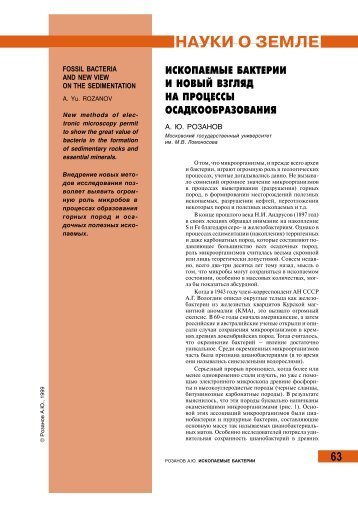 63 ископаемые бактерии и новый взгляд на процессы ...