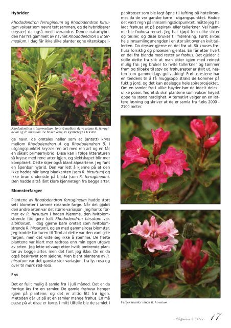 Nr. 3 - Den norske Rhododendronforening