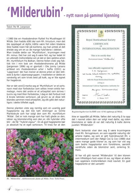 Nr. 3 - Den norske Rhododendronforening