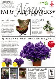 Gode råd om Helleborus - Gartneriet PKM