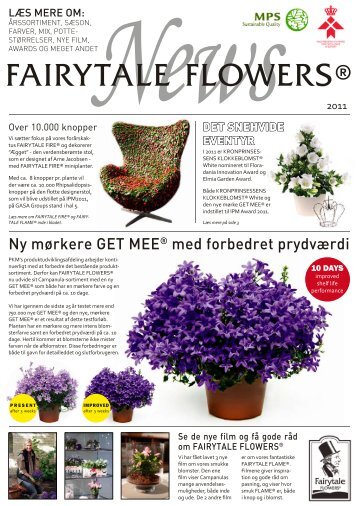 Gode råd om Helleborus - Gartneriet PKM