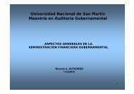 Universidad Nacional de San Martín Maestría en Auditoría Gubernamental