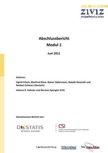 Abschlussbericht Modul 1 - Stifterverband für die Deutsche ...