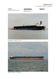 MERIDIAN LION - Cargo Vessels International