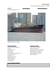 TONG CHENG - Cargo Vessels International