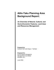 Atlin-Taku Planning Area Background Report - Integrated Land ...