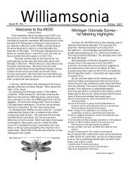 Williamsonia 1-1 [v4.0] (DR) - Insect Division - University of Michigan