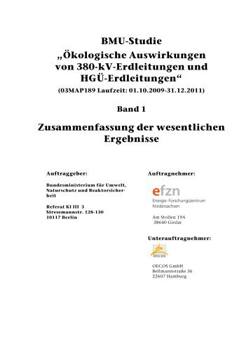 BMU-Studie - Renewables Grid Initiative