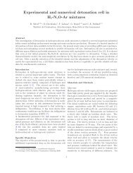 Experimental and numerical detonation cell in H2-N2O-Ar mixtures