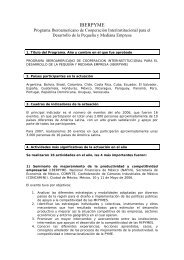 informe anual iberpyme 2006 (pdf) - Segib