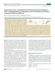 Crystal Structures of Aspartate Aminotransferase Reconstituted with ...