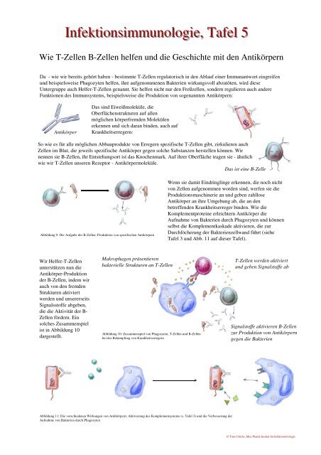 Schautafeln Infektionsimmunologie 010901 - Day of Immunology 2006