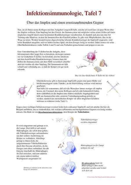 Schautafeln Infektionsimmunologie 010901 - Day of Immunology 2006