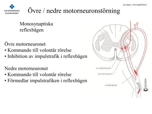 Neurologiska symtom: iakttagelser och slutsatser Jan Fagius ...