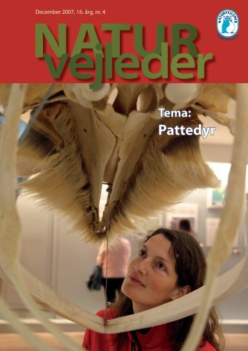 Pattedyr - Naturvejlederforeningen i Danmark