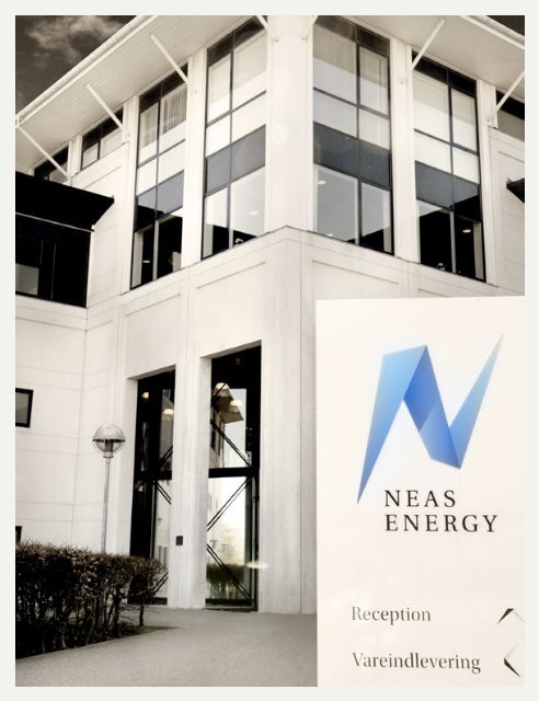 Årsrapport 2012 - Neas Energy