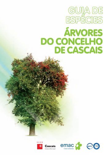 ÁRVORES DO CONCELHO DE CASCAIS - Câmara Municipal de ...