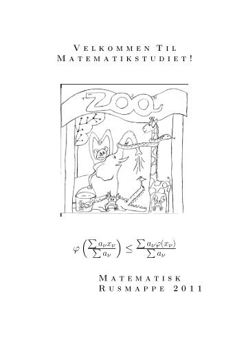 Rusmappe matematik 11 - Institut for Matematiske Fag ...