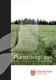 Planstrategi 2011 - Ikast-Brande Kommune