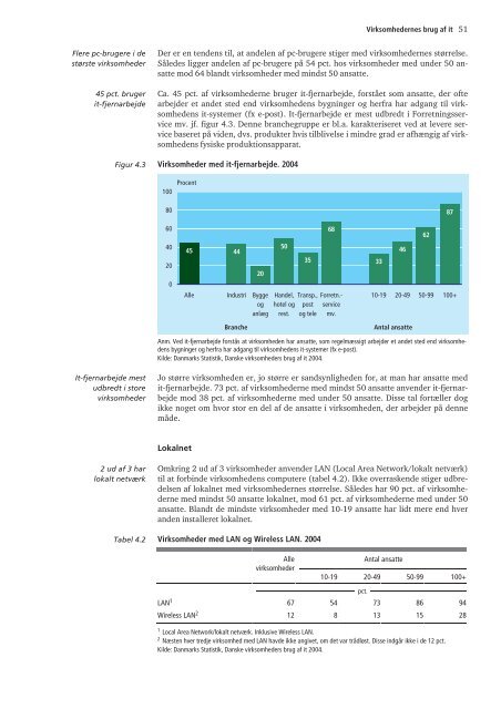 It-status 2004 - Danmarks Statistik