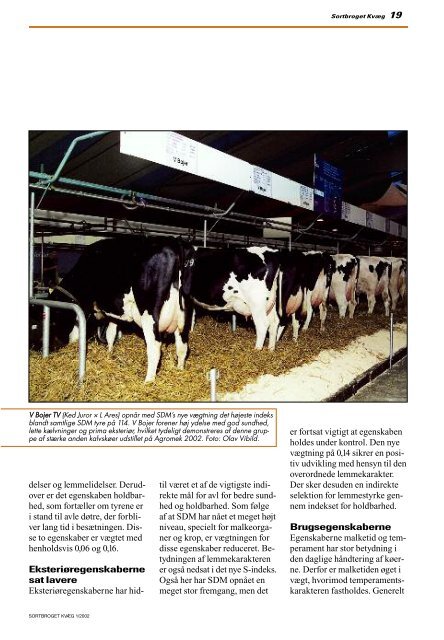 1/2002 - Dansk Holstein