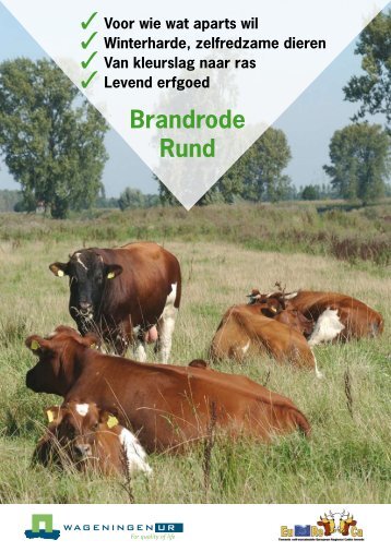 Brandrode Rund - Wageningen UR E-depot